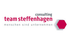 consulting team steffenhagen